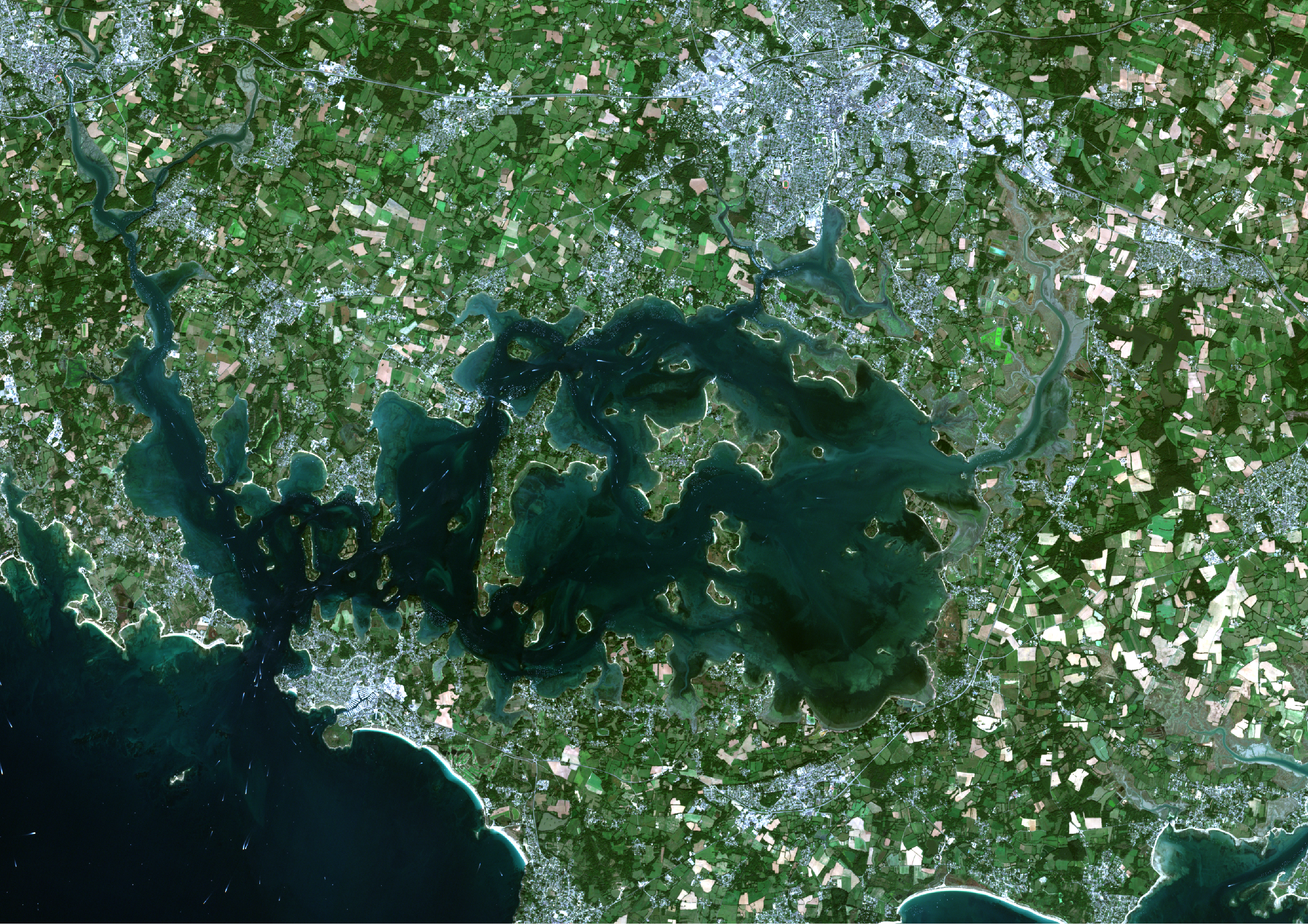 La solution satellitaire pour la cartographie des végétations